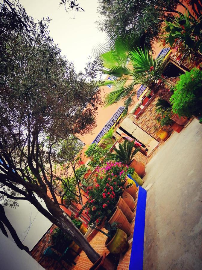 Ferienwohnung Dar ezzitouna Oualidia Exterior foto